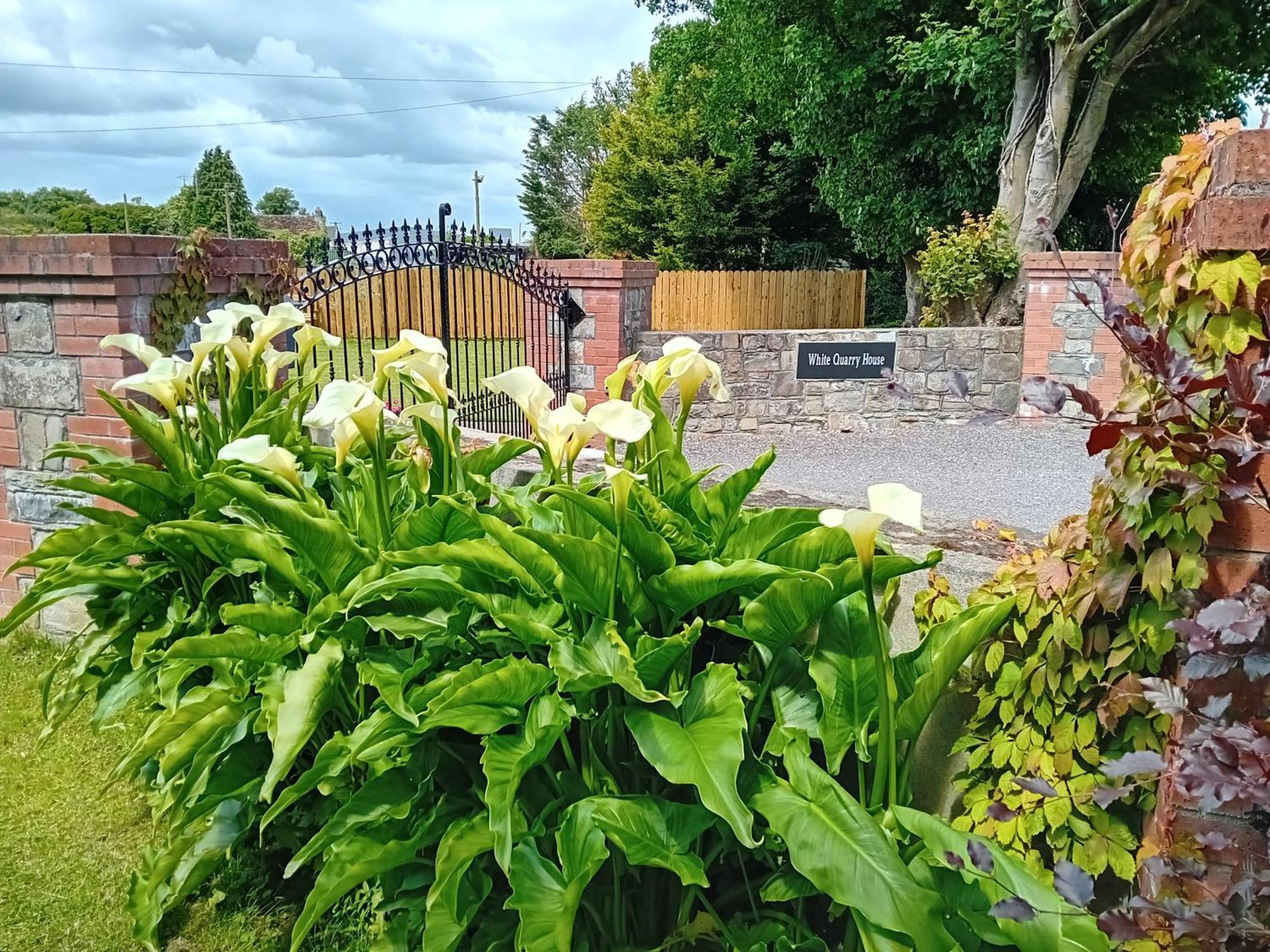 White Quarry Hse Quarry Road Navan Exterior foto